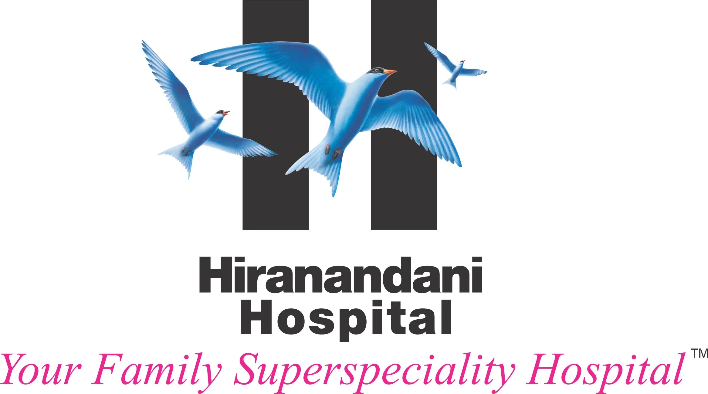 Dr L H Hiranandani Hospital logo